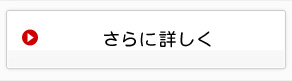 さらに詳しく
